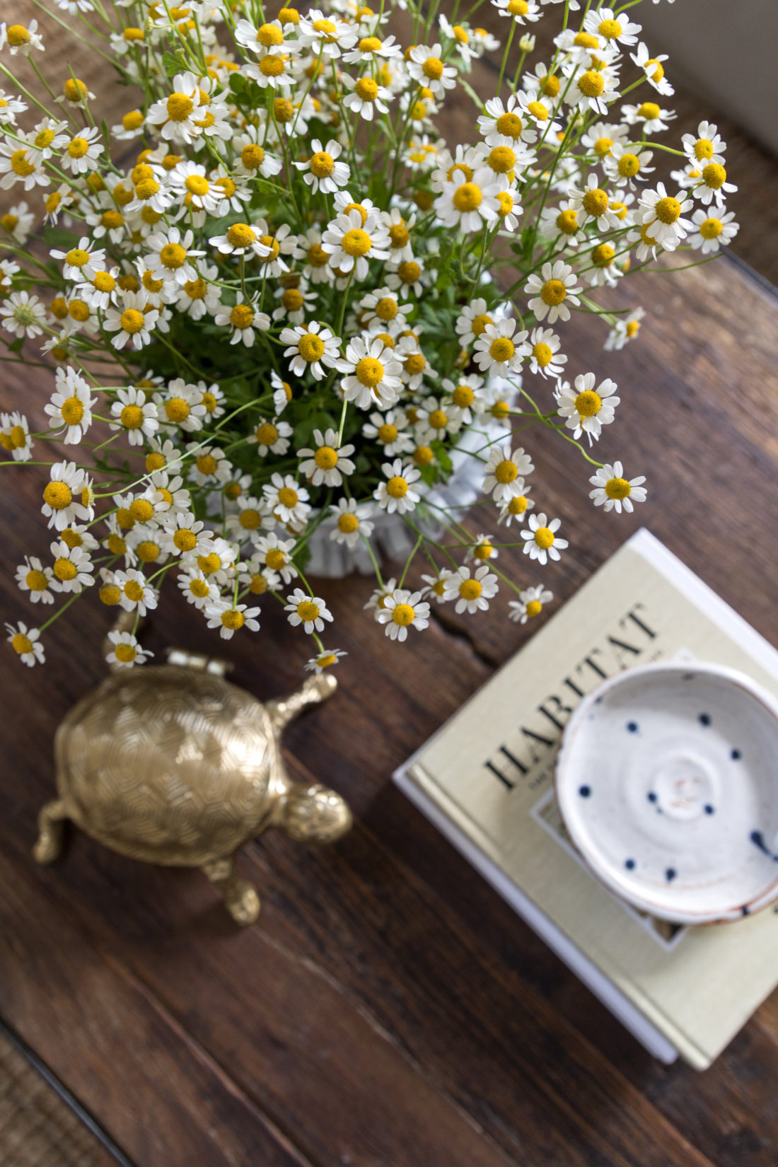 Summer coffee table styling